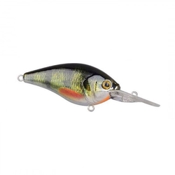 D. SPRO Ikiru Crank SL SFL Green Perch Maket Yem - Thumbnail