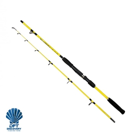 DFT - DFT Focus Kamış 50-100 g 165 cm