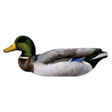 NRA FUD Mallard Ducks Ördek Mühre-(3 ERKEK-3 DİŞİ)