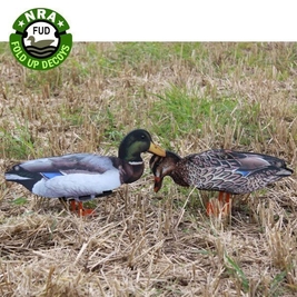 NRA FUD Mallard Ducks Ördek Mühre-(3 ERKEK-3 DİŞİ) - Thumbnail