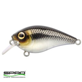 Spro - SPRO Ikiru Crank Pompano Maket Yem